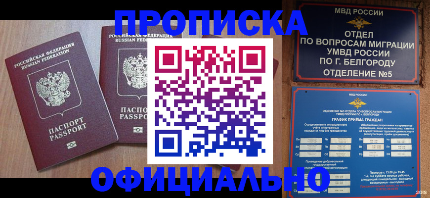 найти адрес прописки в Щёлкино